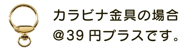 カラビナゴール