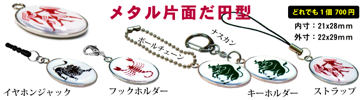 星座キーホルダーだ円